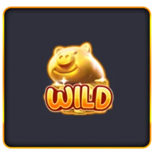 เครื่องหมาย Wild