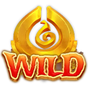 เครื่องหมาย Wild