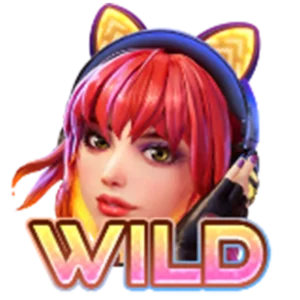 เครื่องหมายพิเศษ Wild